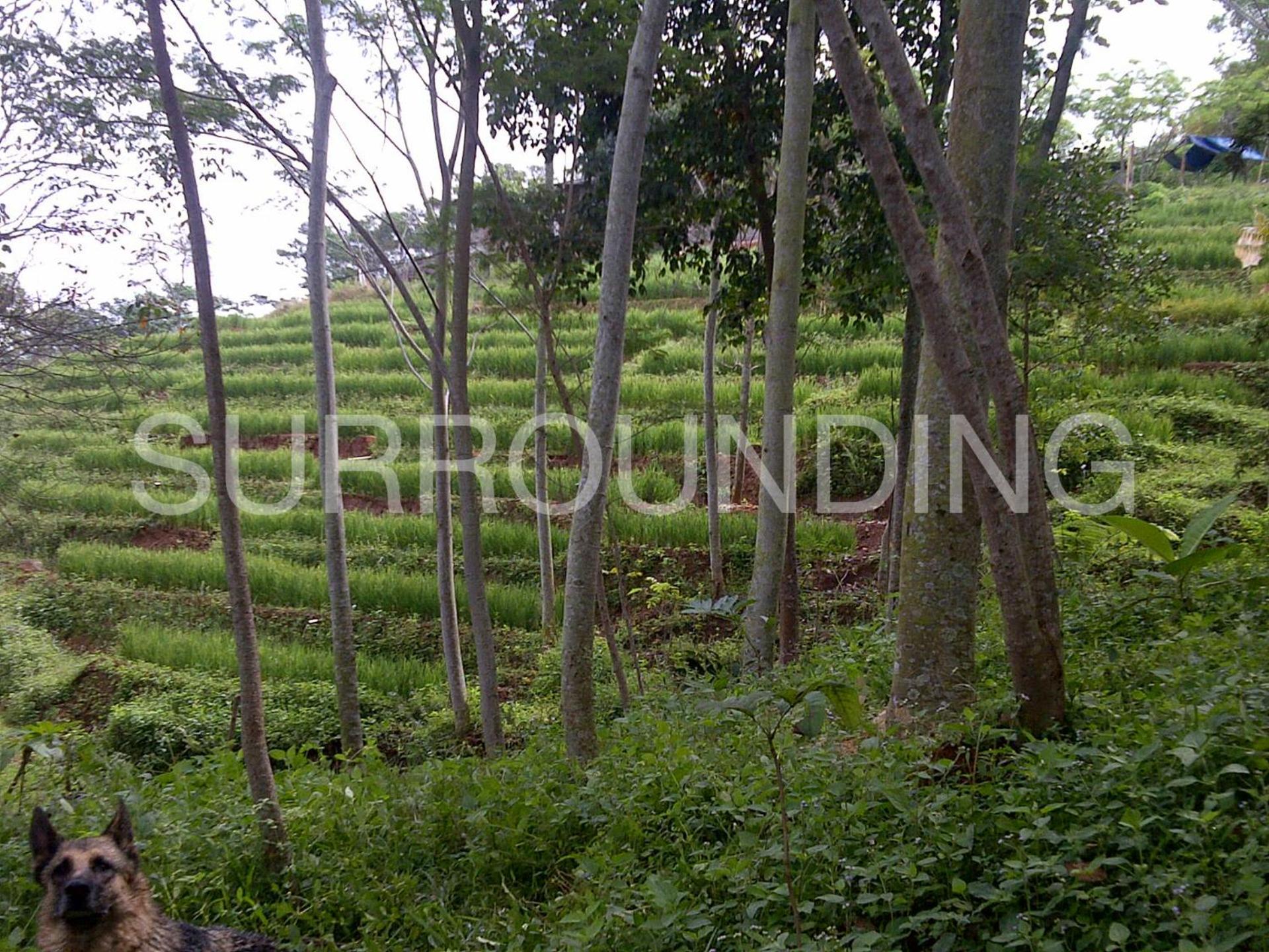 Rumah Lereng Bandung Exteriör bild