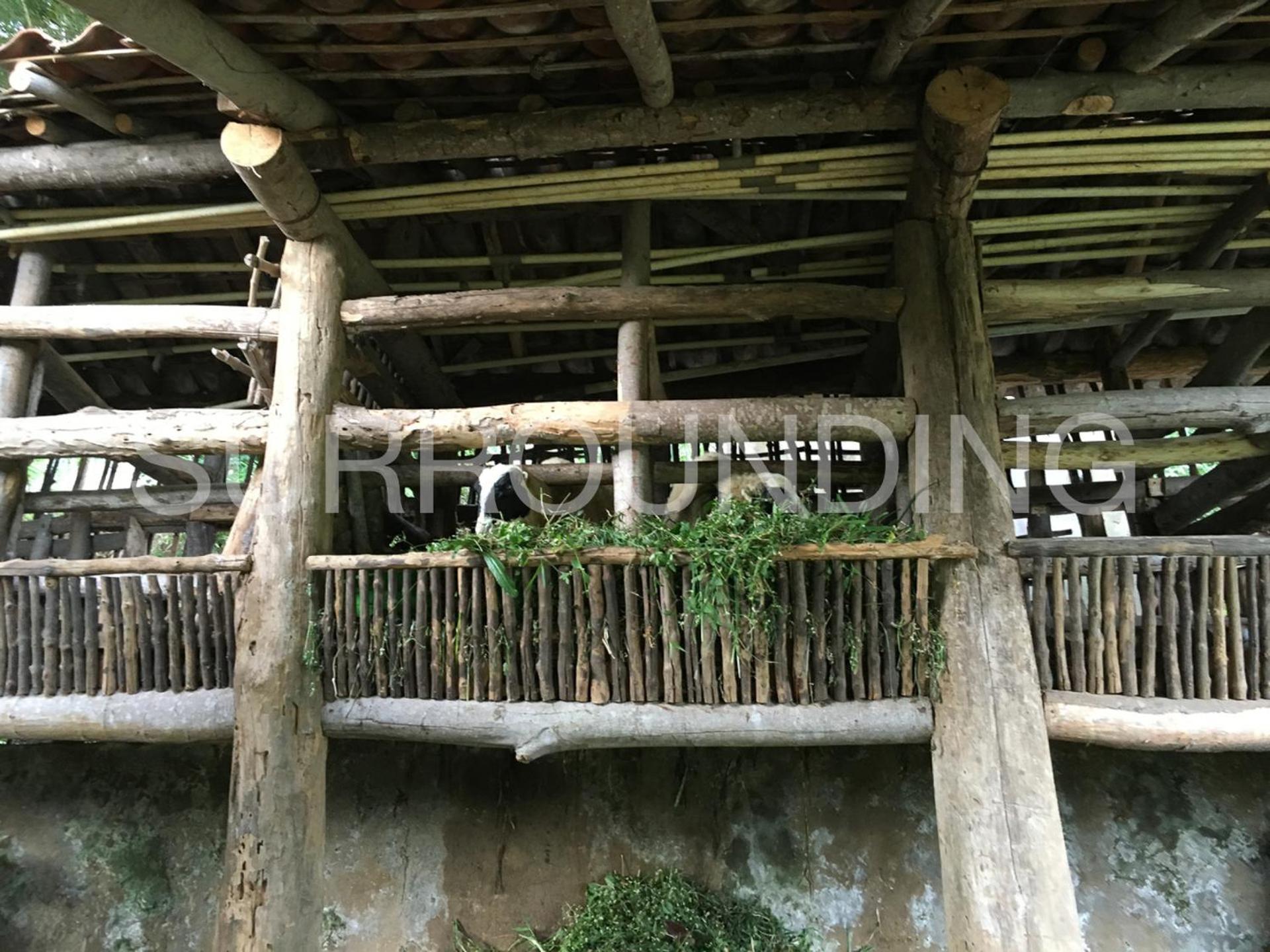 Rumah Lereng Bandung Exteriör bild