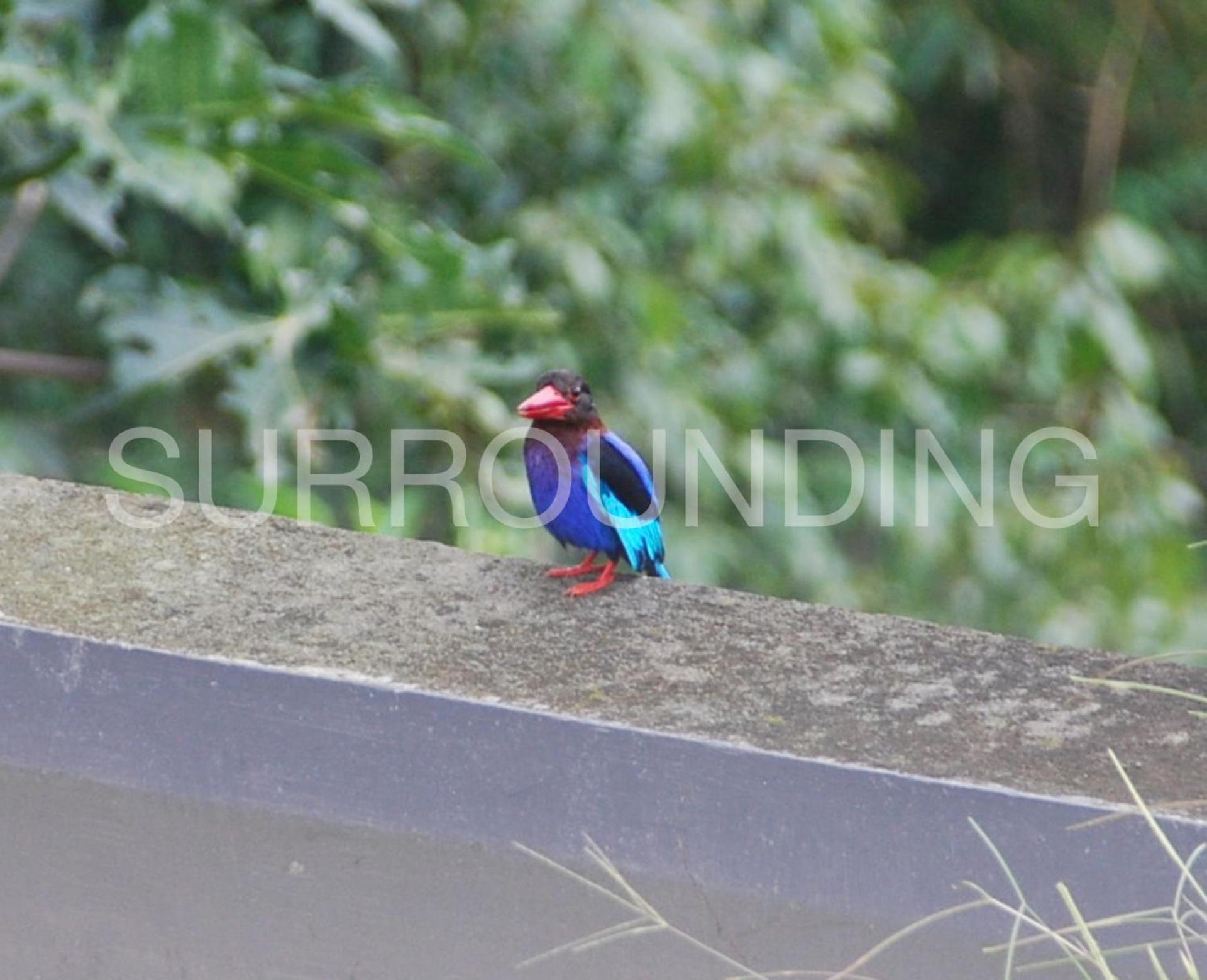 Rumah Lereng Bandung Exteriör bild